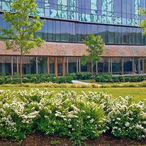 The cool side of pharmacy East side of the pharmacy building showing flower garden